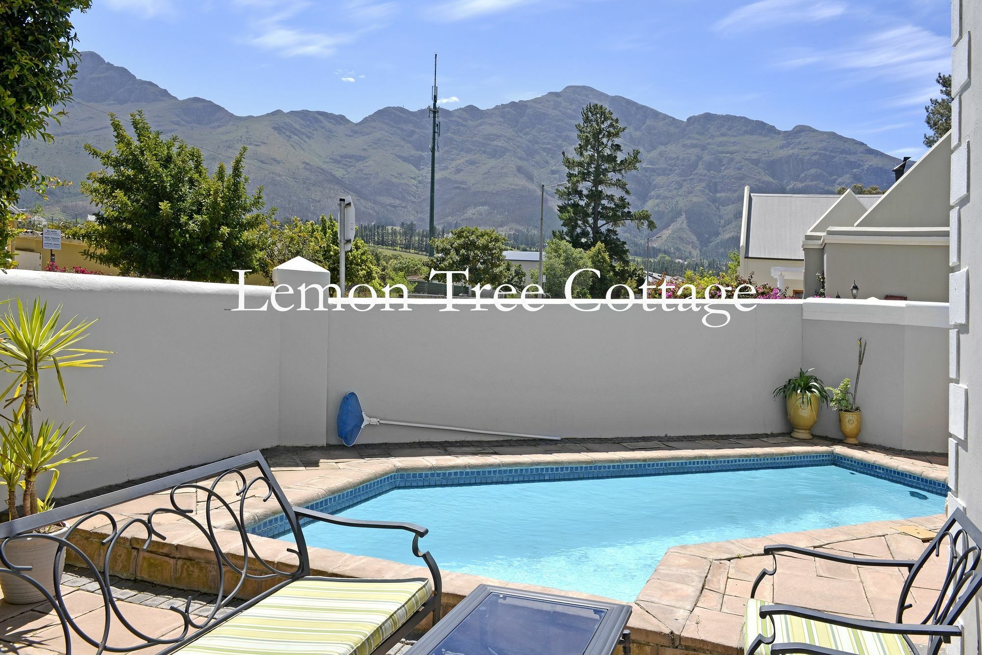 Lemon Tree Cottage Self Catering Franschhoek Dış mekan fotoğraf
