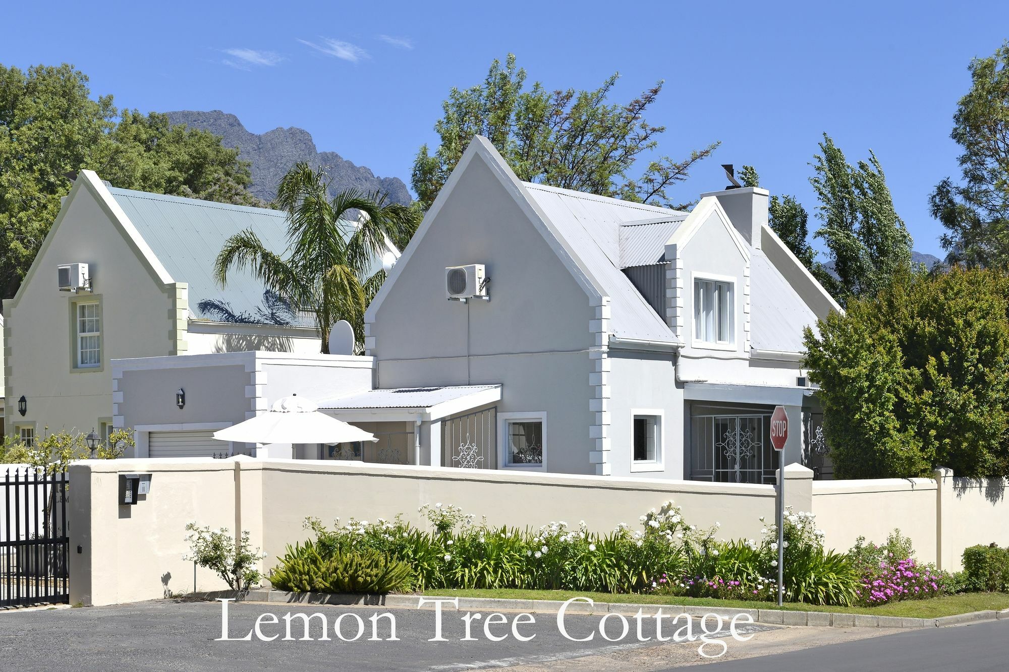 Lemon Tree Cottage Self Catering Franschhoek Dış mekan fotoğraf