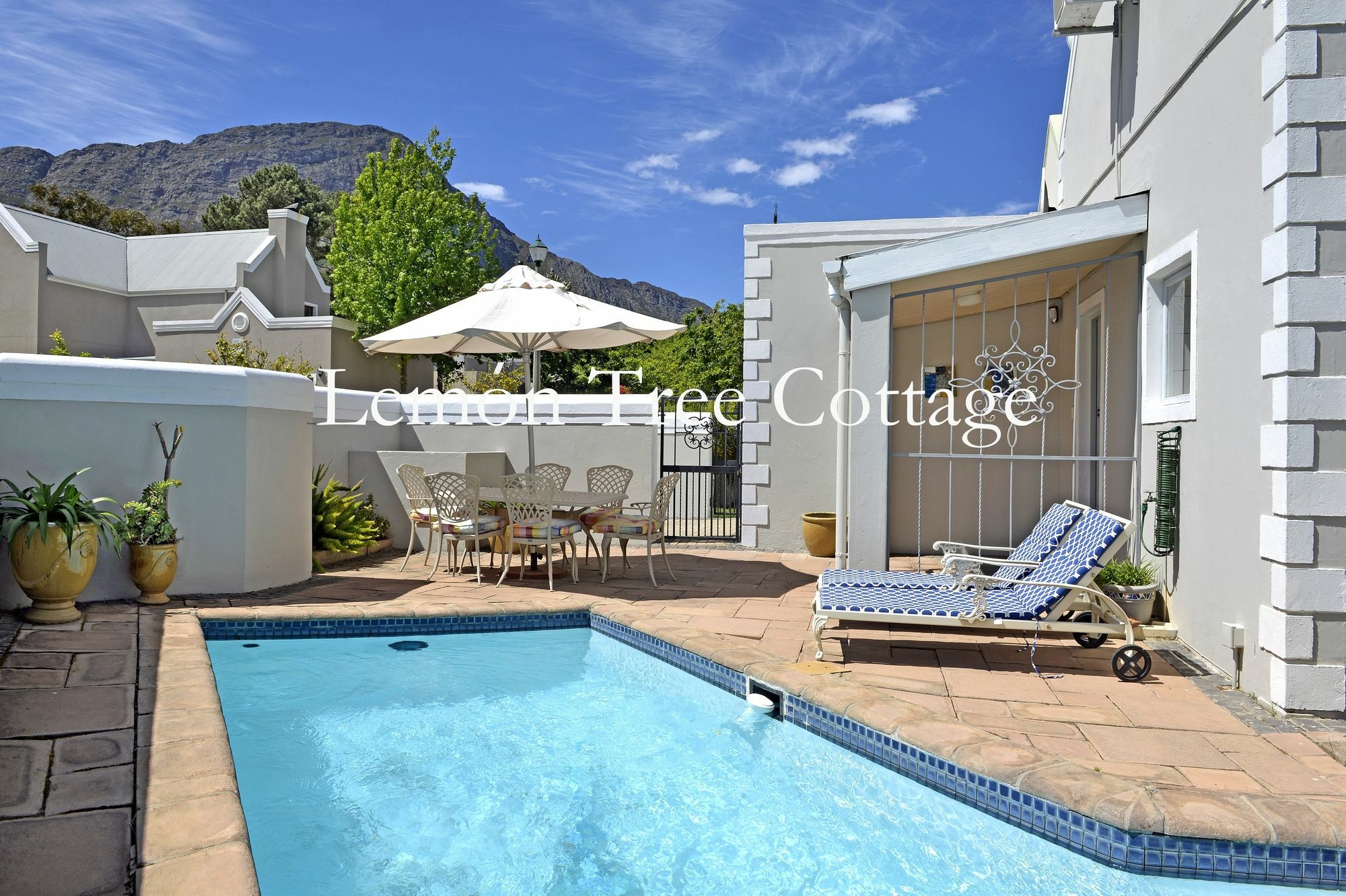 Lemon Tree Cottage Self Catering Franschhoek Dış mekan fotoğraf